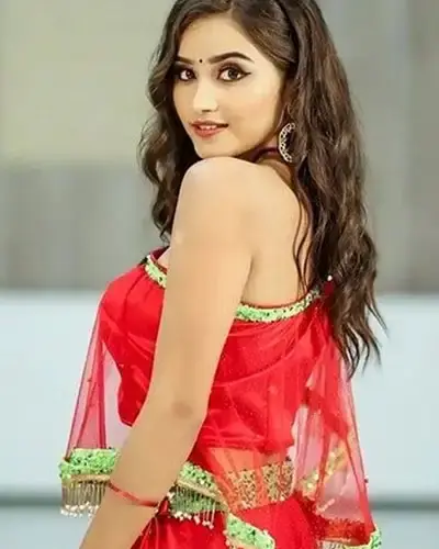 Escort In Shalimarbagh